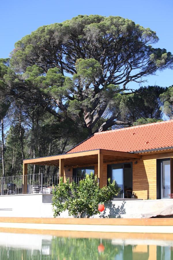 فيلا Casas Do Pinheiro Grande فورنوس دي ألجودريس المظهر الخارجي الصورة